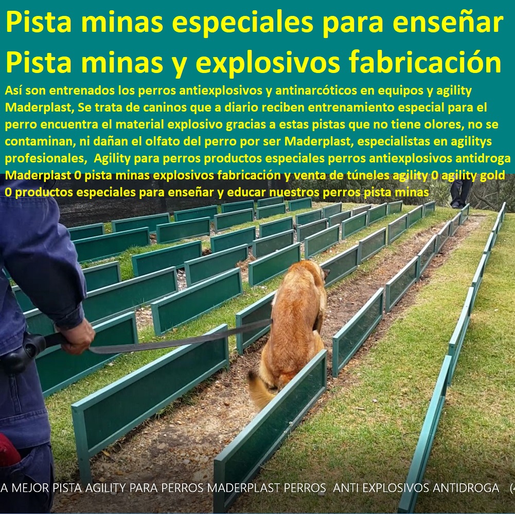 Circuito canino agility Parques para Perros Pista de Agility pista explosivos Maderplast 0 Tienda para Perros Equipo Deportivo Agility 0 Caninos Para Perros, Equipo De Agility Para Perros, Cunas Y Parideras Para Perros, Parques Para Perros, Corrales Para Perros, Jaulas cuidado de perros, Casas Para Perros Y Mascotas, Agility De Perros, Pistas De Adiestramiento, Agility Deporte y Diversión para Dueños y Perros 0 Manufacturas Agility perro pista explosivos Circuito canino agility Parques para Perros Pista de Agility pista explosivos Maderplast 0 Tienda para Perros Equipo Deportivo Agility 0 Agility Deporte y Diversión para Dueños y Perros 0 Manufacturas Agility perro pista explosivos